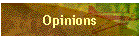 Opinions